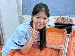 唯思特整列机：微小零件摆盘自动化核心设备，提升制造良率关键选择